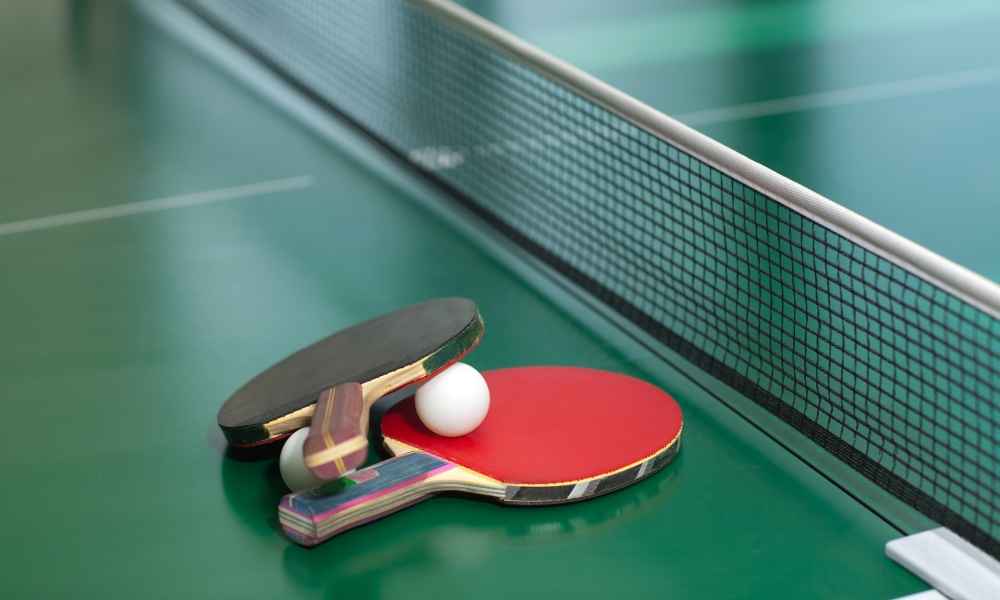 The 10 Best Ping Pong Paddles In 2022 - The Best For Control & Spin