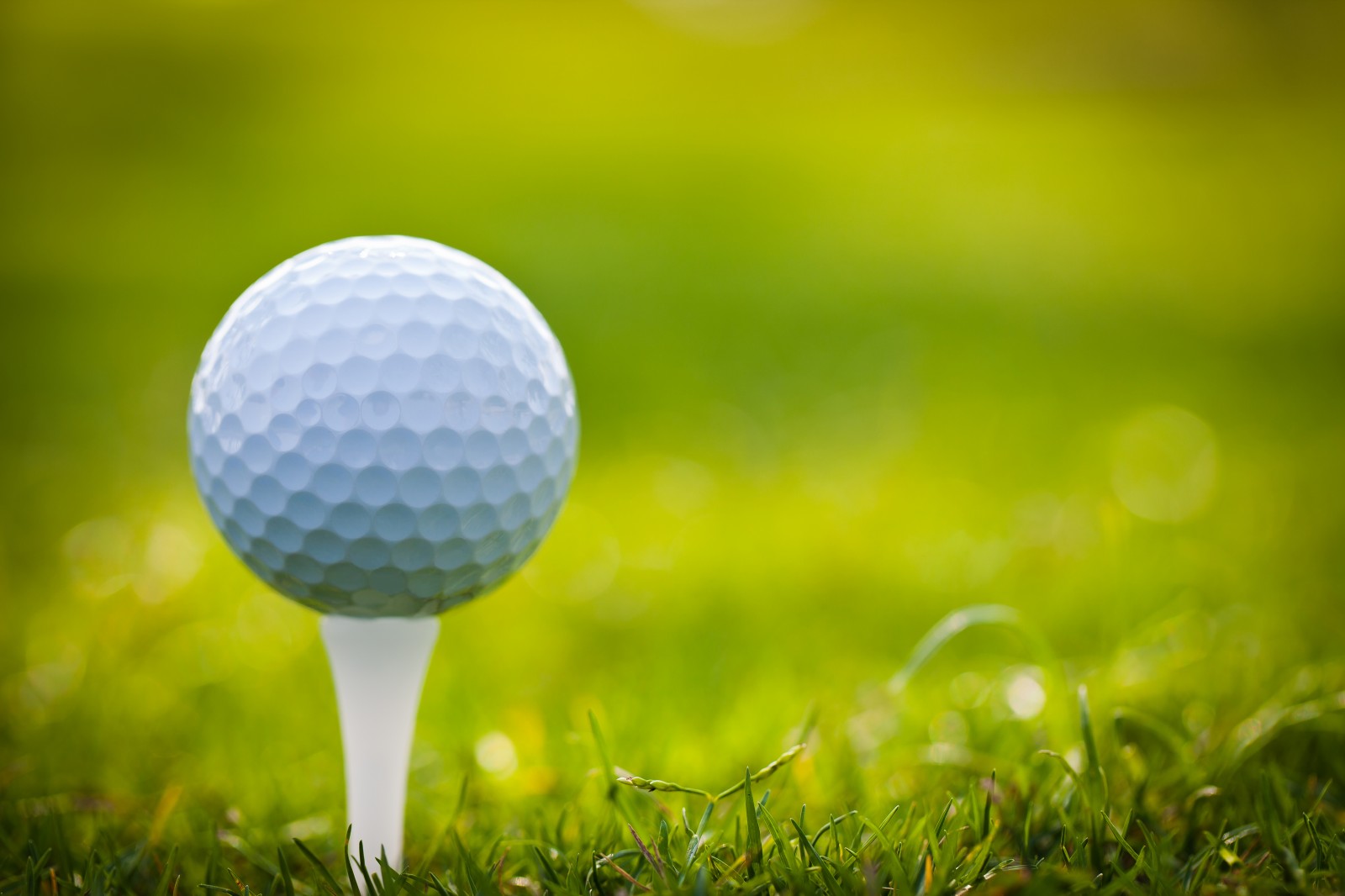The 10 Best Golf Tees in 2024 - Make a Better Shot