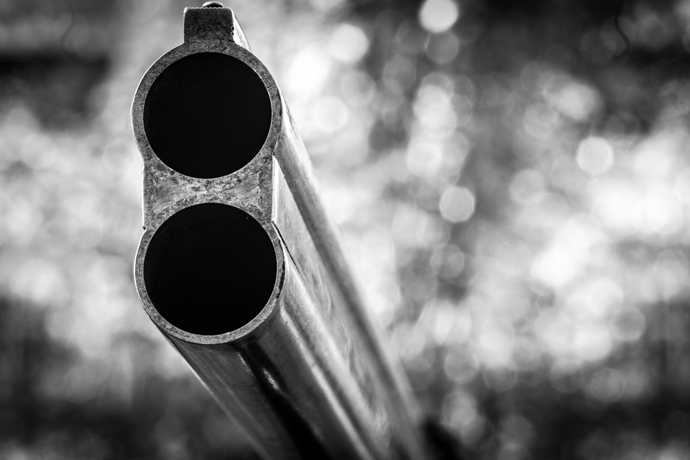 The 10 Best Bore Sights to Buy in 2024 Sportsglory